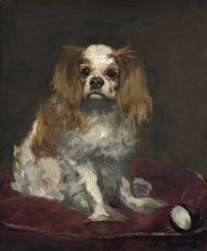 Main Product Photo of A King Charles Spaniel Painting by Edouard Manet
