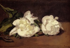 Branch Of White Peonies With Pruning Shears by Oil Painting Reproduction