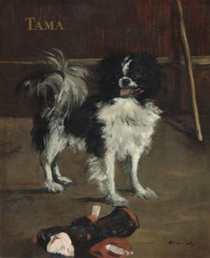 Main Product Photo of Tama, the Japanese Dog Painting by Edouard Manet